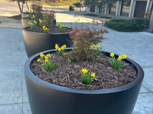 Bollard cover planters with flowers in front of a church.